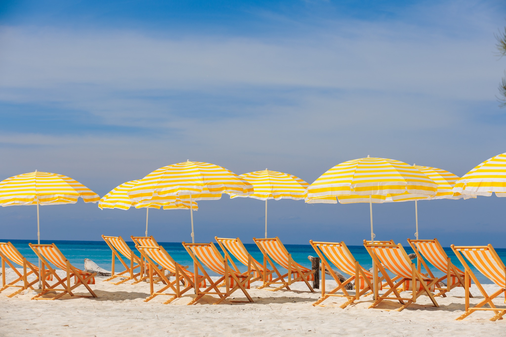 Case Study: Borneo Wonders Holiday