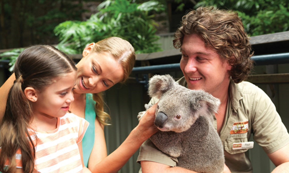 zoo