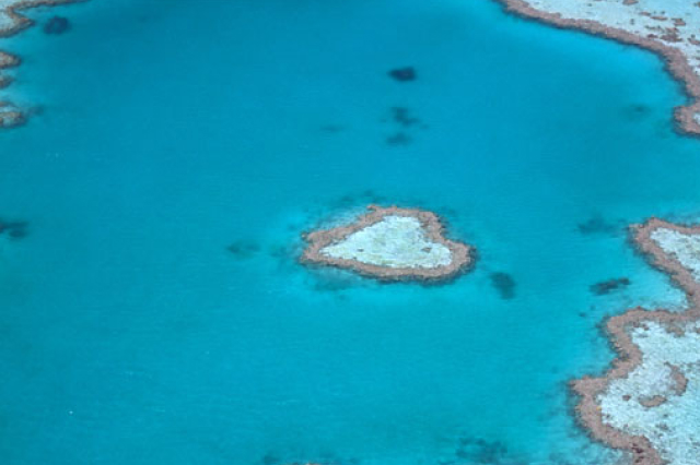 reef-discovery-fly-both-ways